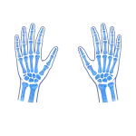 Motif radiographie des mains pour vêtement radiologie personnalisé
